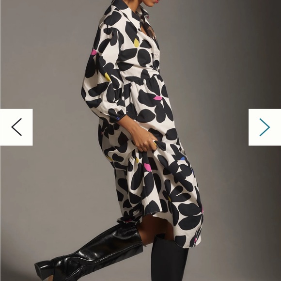 Anthropologie bettina dress - Picture 3 of 7